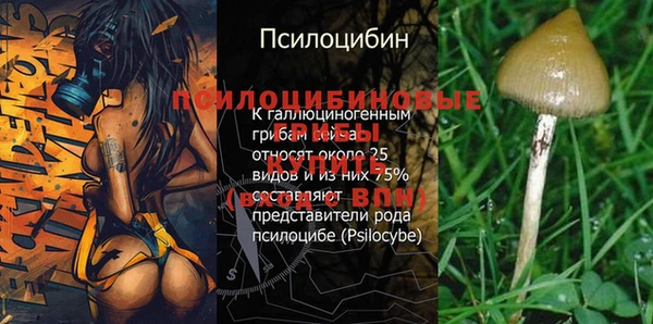 спайс Белоозёрский
