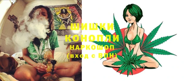 трава Беломорск