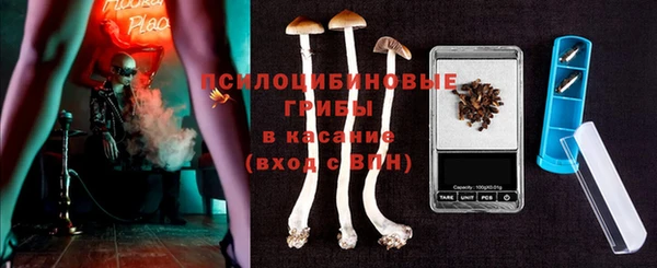круглые Белокуриха